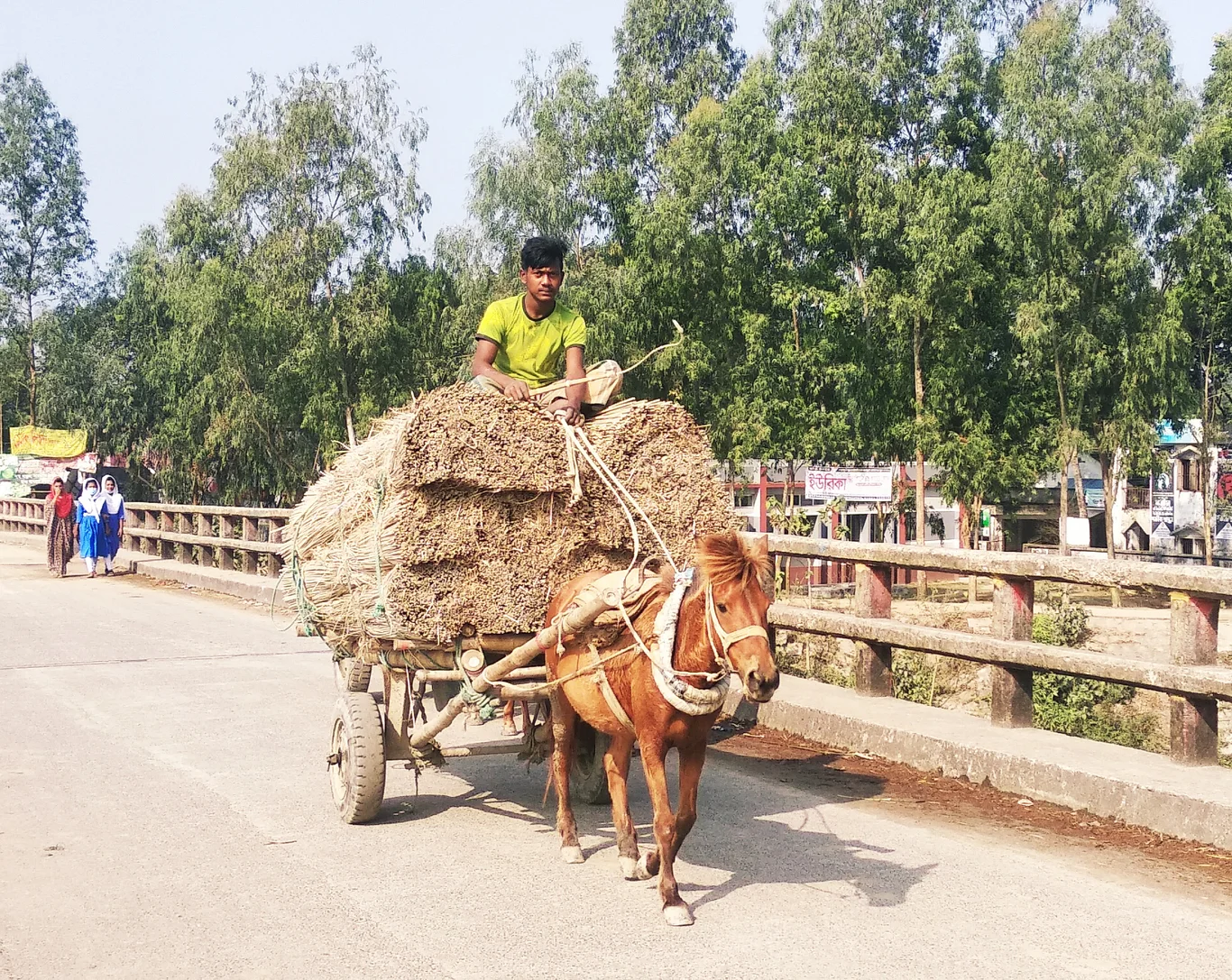 ঘোড়ার গাড়ি দিয়ে এক কৃষক পাটখড়ি হাটে নিচ্ছেন