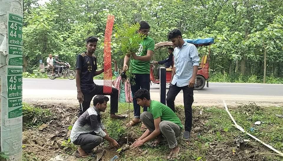 দিনাজপুর সরকারি কলেজে গ্রীন ভয়েসের উদ্যোগে বৃক্ষরোপন কর্মসূচি