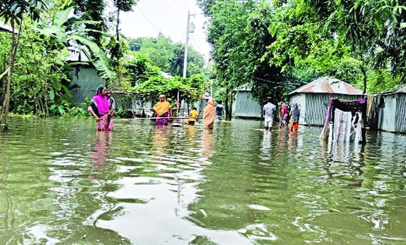 তিস্তায় পানি বৃদ্ধি: নিম্নাঞ্চল প্লাবিত, ভাঙনের আশঙ্কা