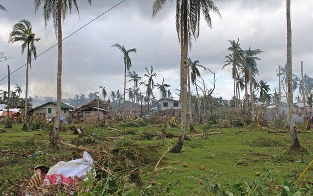 টাইফুন রাইয়ে ফিলিপিন্সে মৃত্যু বেড়ে ২০৮